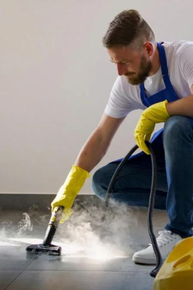 Mold Bros Mold Removal: A Trusted Solution for Cleaner, Healthier Spaces