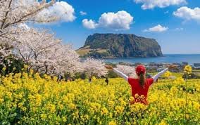 Jeju’s Hidden Luxury Karaoke: Top Premium Noraebang for Island Nights 2026